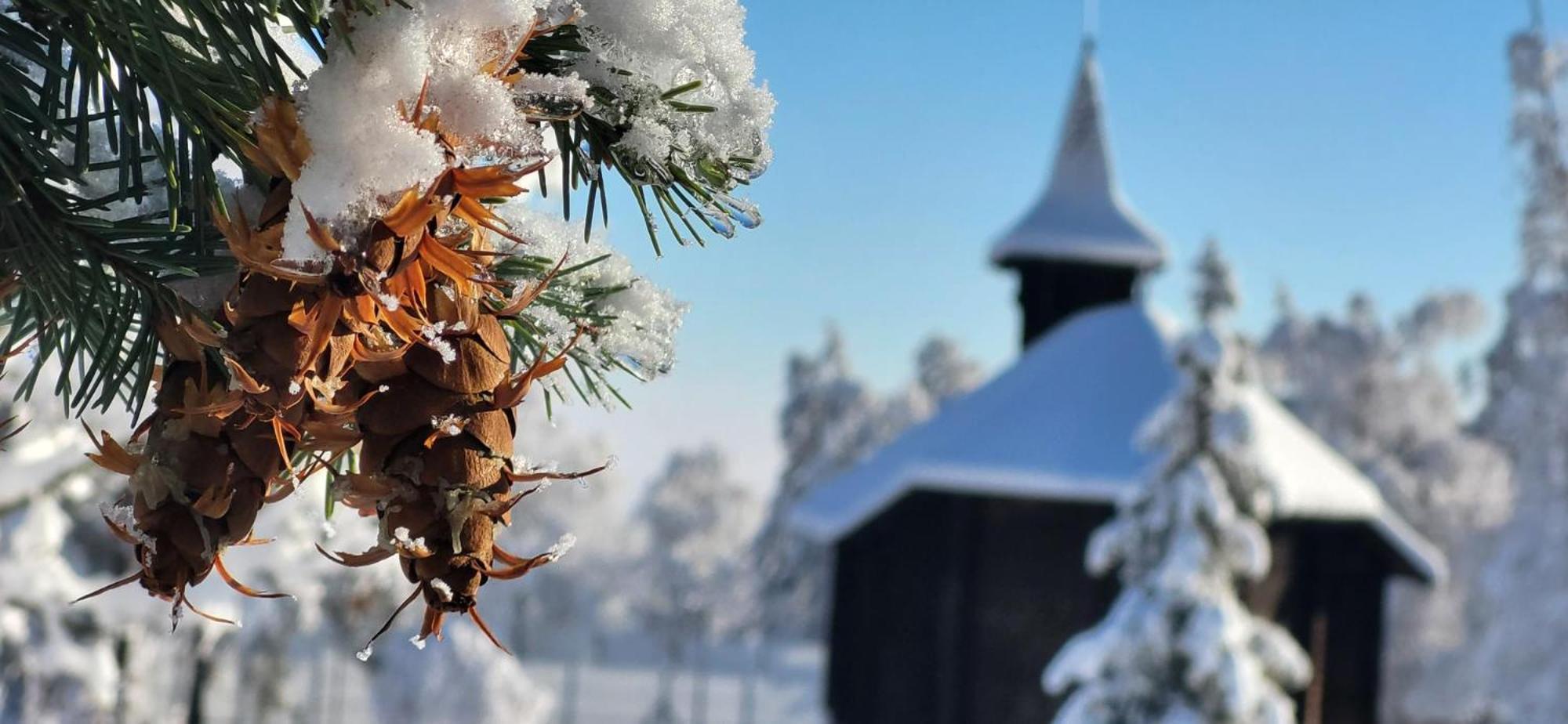 Vila Kollar Vysoké Tatry Εξωτερικό φωτογραφία