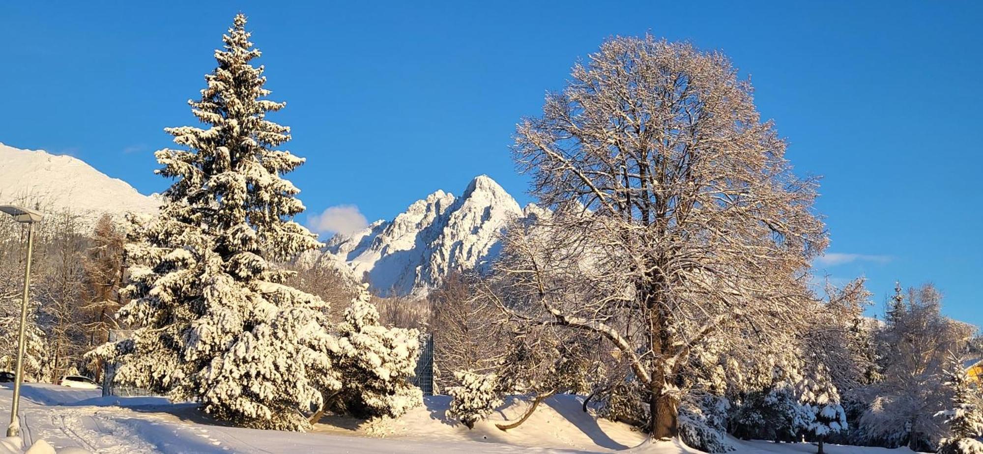 Vila Kollar Vysoké Tatry Εξωτερικό φωτογραφία